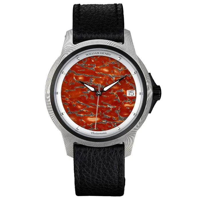 William Henry, LLC Dinosaur Bone Titanium Watch